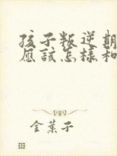 孩子叛逆期父母应该怎样和孩子交流