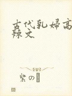 古代乳妇高h肉辣文封面