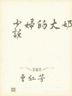 少妇的大奶子小说