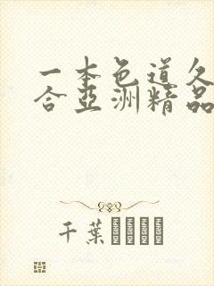 一本色道久久综合亚洲精品封面