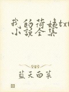 我的荷姨txt小说全集封面