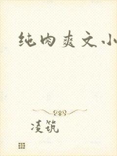 纯肉爽文小说