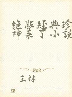 绝版经典珍藏女神来了小说免费阅读