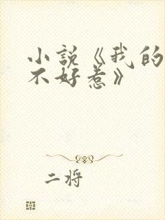 小说《我的医妃不好惹》