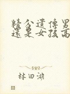 精分遗传男孩高还是女孩高