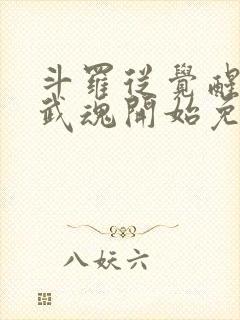 斗罗从觉醒朱雀武魂开始免费阅读