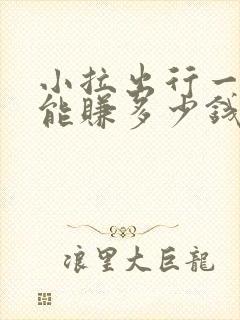 小拉出行一个月能赚多少钱