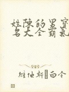 姓陈的男宝宝取名大全霸气封面