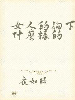 女人的胸下垂是什么样的