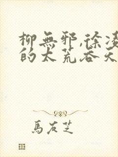 柳无邪,徐凌雪的太荒吞天诀封面