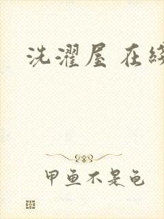 洗濯屋 在线看