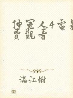 伸冤人4电影免费观看封面