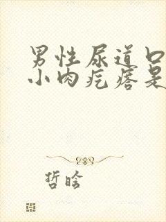 男性尿道口长个小肉疙瘩是怎么回事