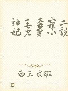 神王毒宠二嫁王妃免费小说