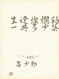 生逢灿烂的日子一共多少集