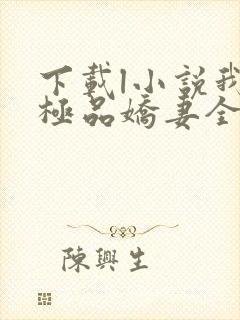 下载l小说我的极品娇妻全部