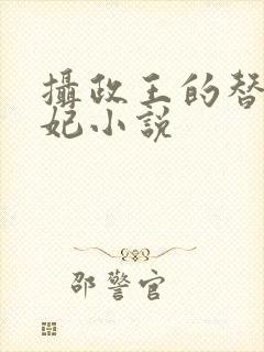 摄政王的替嫁王妃小说