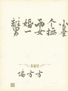 离婚两个小孩一男一女抚养权怎么判定