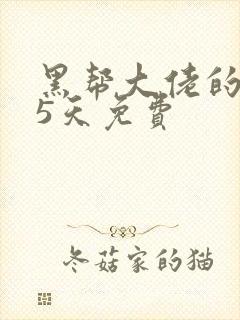 黑帮大佬的365天免费