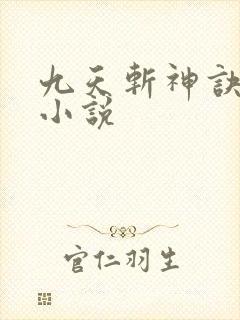 九天斩神诀林辰小说