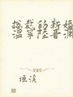 总裁的新婚罪妻温宁陆晋渊