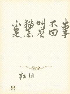 小猫叫不出声音是怎么回事