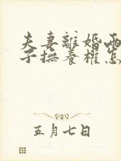 夫妻离婚两个儿子抚养权怎么判定