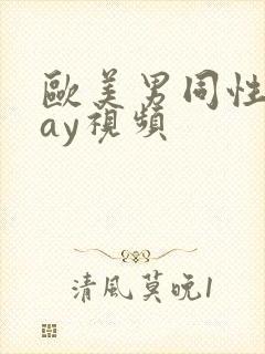 欧美男同性恋gay视频