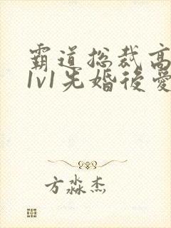 霸道总裁高干文1v1先婚后爱小娇妻