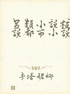 另类小说校园小说都市小说