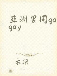亚洲男同gaygay