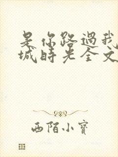 是你路过我的倾城时光全文免费阅读