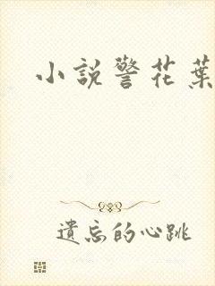 小说警花叶柔
