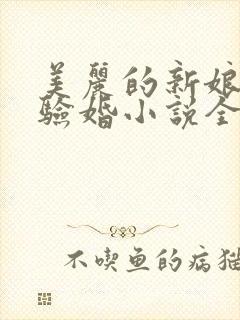 美丽的新娘阿龟验婚小说全文阅读
