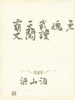 霸天武魂免费全文阅读