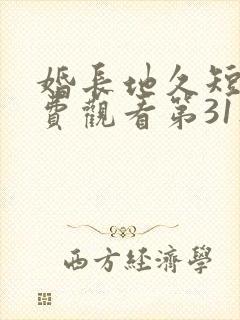 婚长地久短剧免费观看第31集