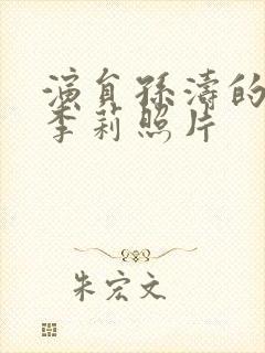 演员孙涛的妻子李莉照片