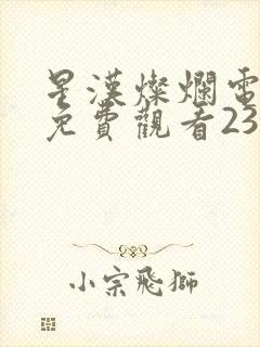 星汉灿烂电视剧免费观看23集