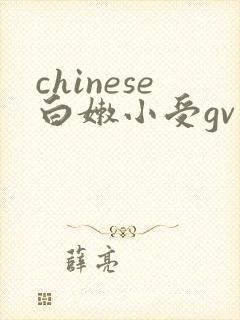 chinese白嫩小受gv