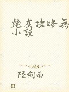 炮灰攻略无删减小说