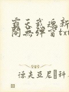 霸天武魂新笔趣阁无弹窗txt封面
