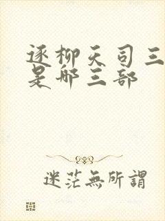 逐柳天司三部曲是哪三部封面