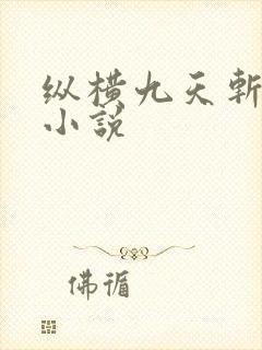 纵横九天斩神诀小说