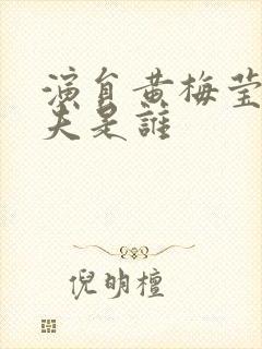 演员黄梅莹的丈夫是谁