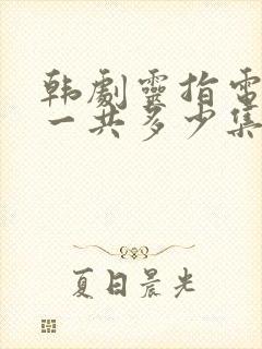 韩剧灵指电视剧一共多少集