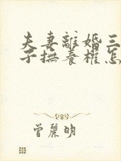 夫妻离婚三个孩子抚养权怎么判定