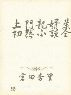 上门龙婿叶辰萧初然小说全集