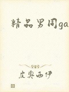 精品男同gay