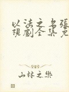 以法之名张译电视剧全集免费观看