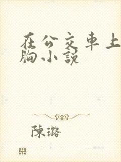 在公交车上被摸胸小说